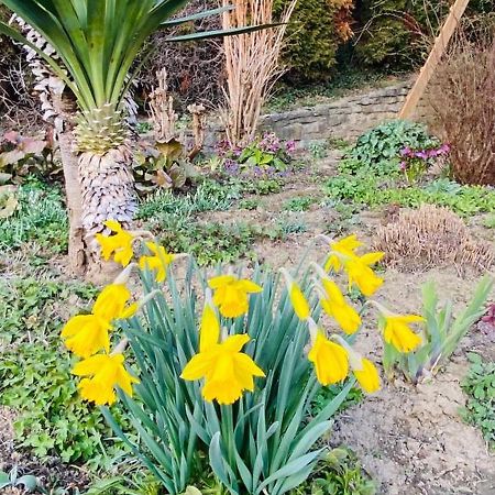 Ferienwohnung Im Gaertle Sulzburg Zewnętrze zdjęcie